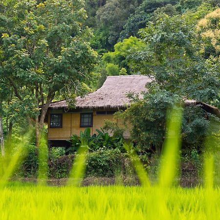 Hmong Hilltribe Lodge Mae Rim Dış mekan fotoğraf