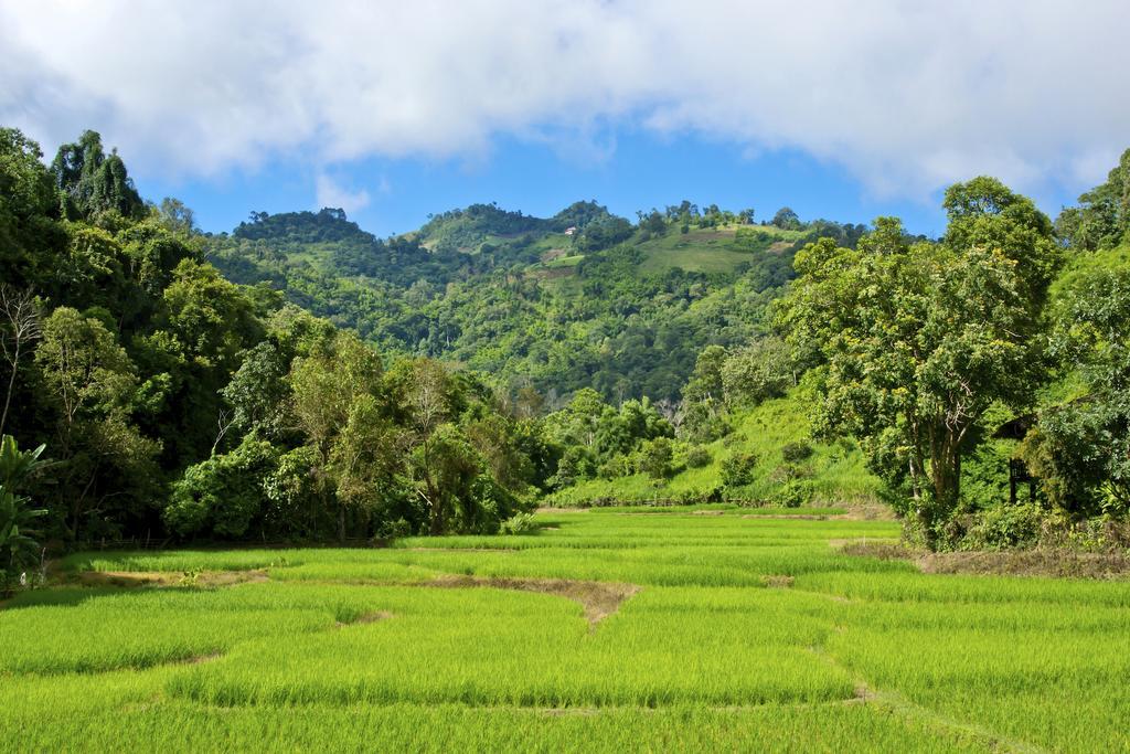 Hmong Hilltribe Lodge Mae Rim Dış mekan fotoğraf