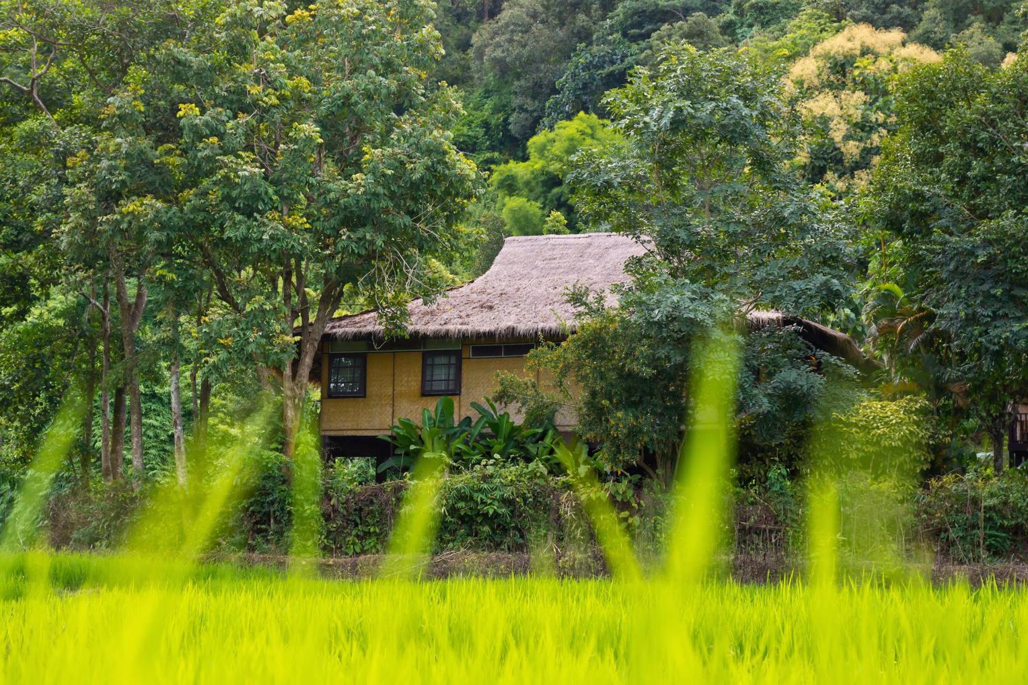 Hmong Hilltribe Lodge Mae Rim Dış mekan fotoğraf